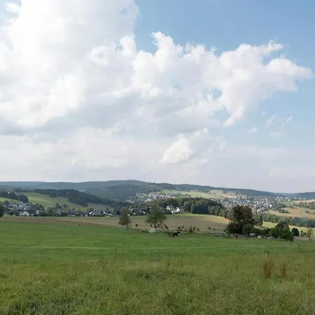 Ripa Erzgebirge In Apartment *